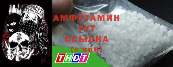 ECSTASY Богданович