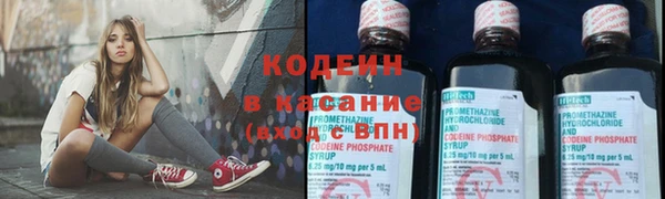 ECSTASY Богданович