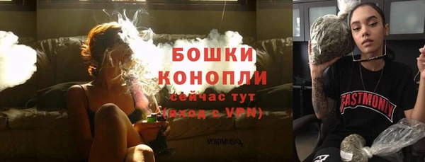 сатива Богородск
