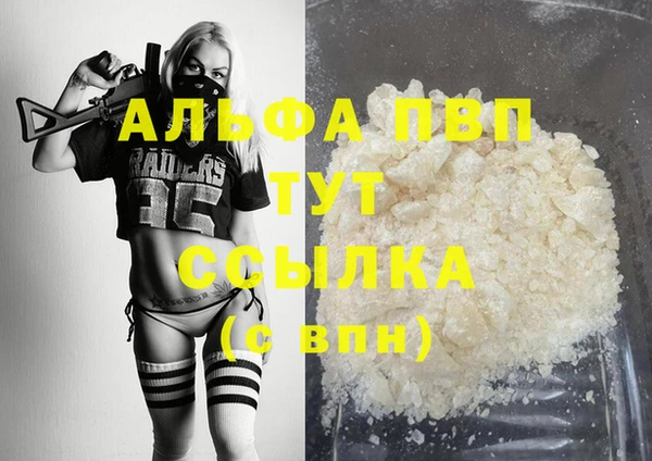 ECSTASY Богданович