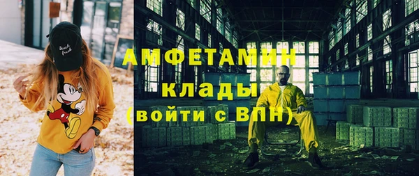 ECSTASY Богданович