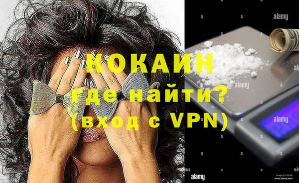 ECSTASY Богданович