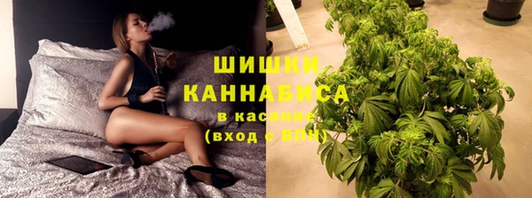 эйфоретик Богородицк