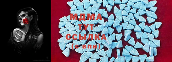 ECSTASY Богданович